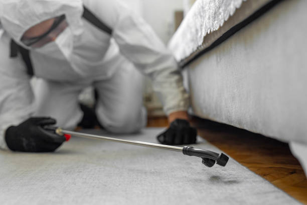 Professional Termite Control technician working in Claycomo, MO