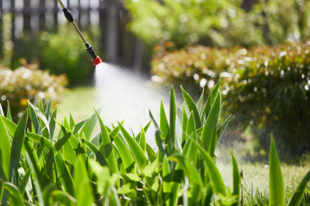 24/7 Emergency Termite Control experts in Claycomo, MO