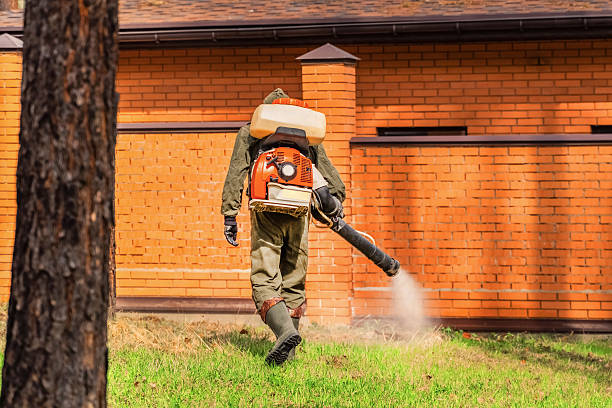 Top rated local Termite Control specialists in Claycomo, MO